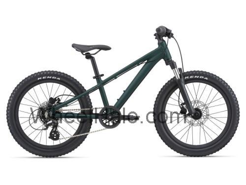 Giant STP 20 FS fiche technique et avis